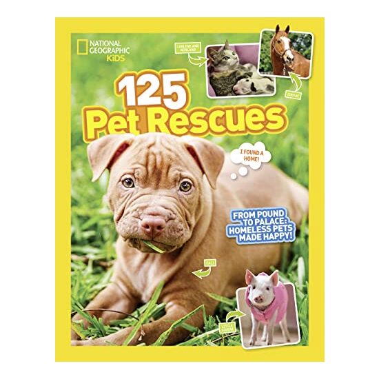 125 pet rescues - Imagine 1