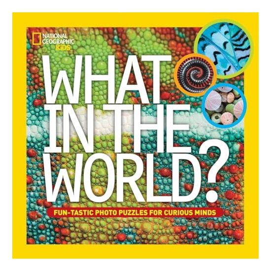 What in the World? - Imagine 1