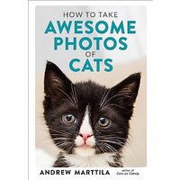 How to Take Awesome Photos of Cats, Andrew Marttila