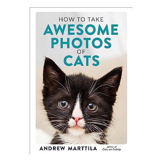 How to Take Awesome Photos of Cats, Andrew Marttila