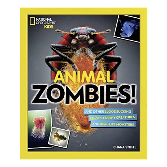 Animal Zombies!