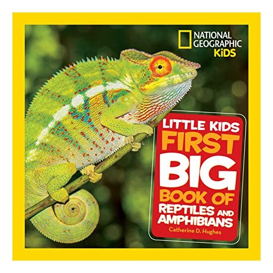 Little Kids First Big Book of Reptiles and Amphibians