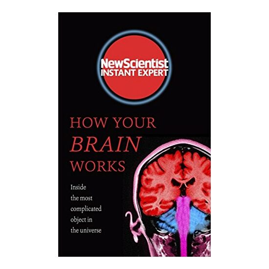 How Your Brain Works