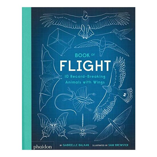 Book of Flight