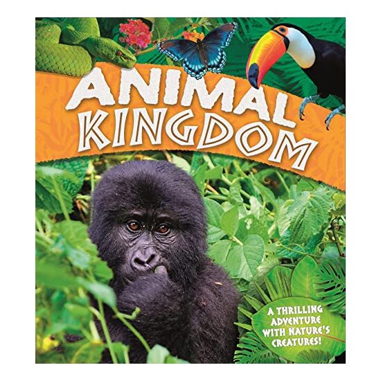 Animal Kingdom - Imagine 1