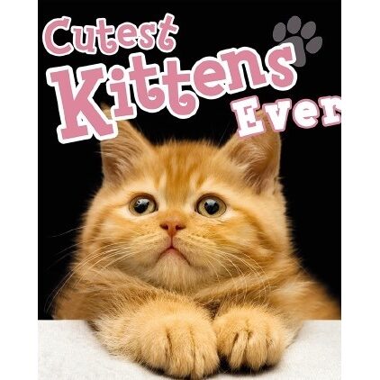 Cutest Kittens Ever