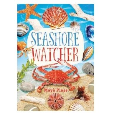 Seashore Watcher - Imagine 1