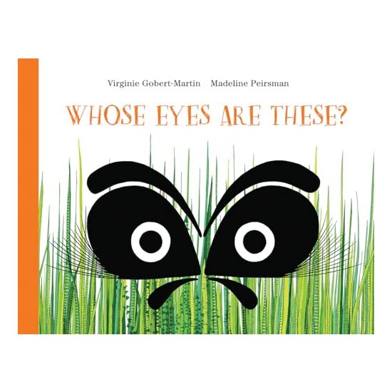 Whose Eyes Are These?