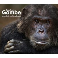 Tales from Gombe