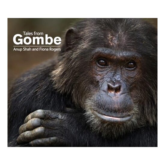 Tales from Gombe