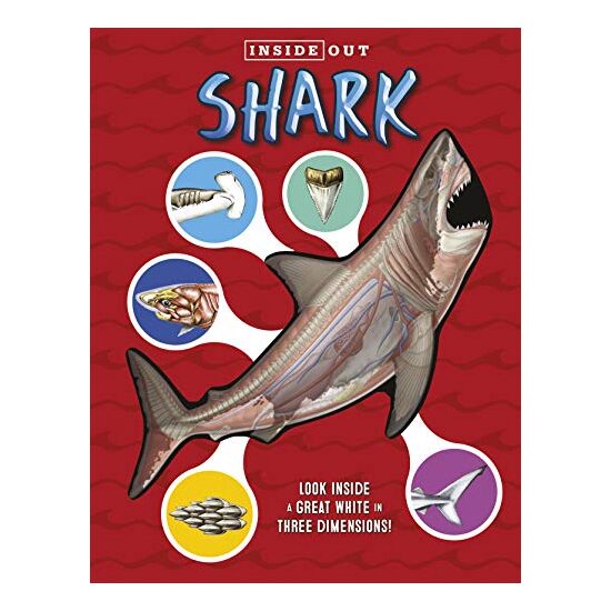 Sharks