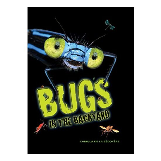 Bugs in the backyard - Imagine 1