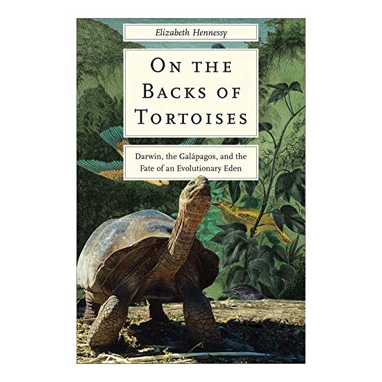 On the Backs of Tortoises