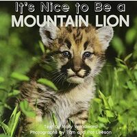 It's Nice to Be a Mountain Lion
