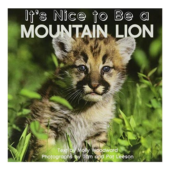 It's Nice to Be a Mountain Lion - Imagine 1