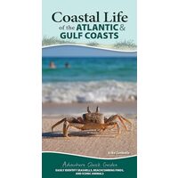 Coastal Life of the Atlantic and Gulf Coasts