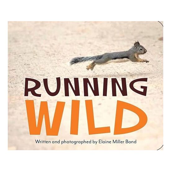 Running Wild - Imagine 1
