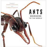 Ants