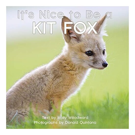 It's Nice to Be a Kit Fox - Imagine 1