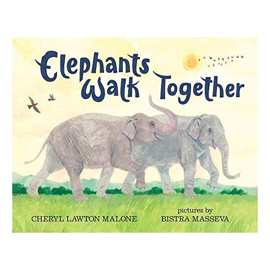 Elephants walk together