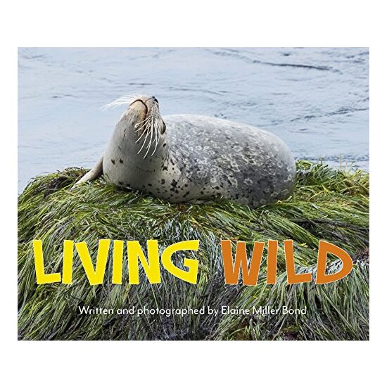 Living Wild - Imagine 1