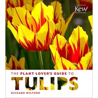 The plant lover's guide to tulips