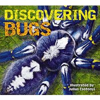 Discovering Bugs