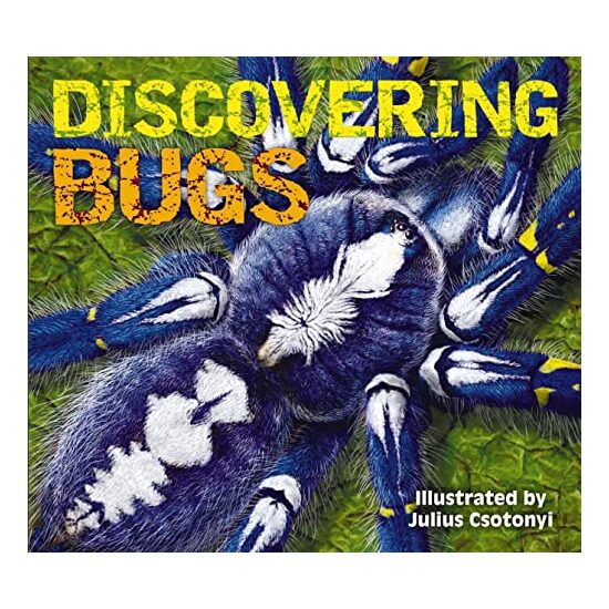 Discovering Bugs