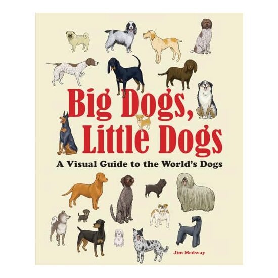 Big Dogs, Little Dogs - Imagine 1