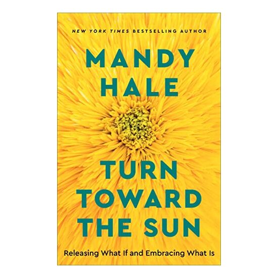 Turn Toward the Sun - Imagine 1