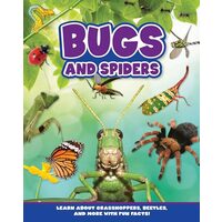 Bugs and Spiders