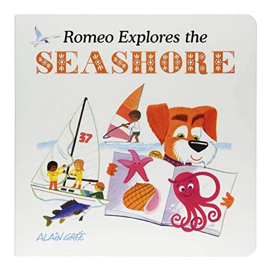 Romeo Explores the Seashore - Imagine 1