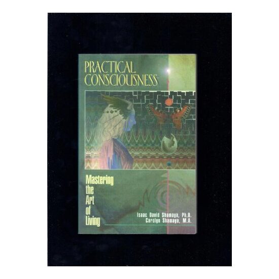 Practical Consciousness