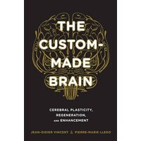 The Custommade Brain Cerebral Plasticity Regeneration And Enhancement