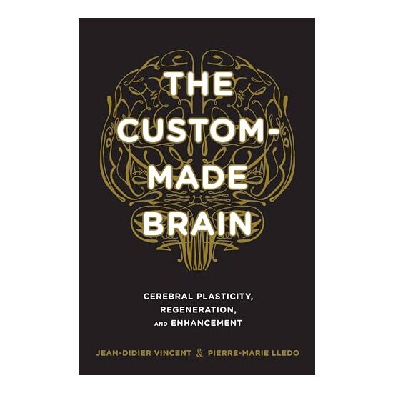The Custommade Brain Cerebral Plasticity Regeneration And Enhancement
