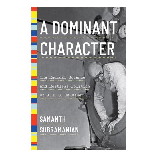Dominant Character - Imagine 1