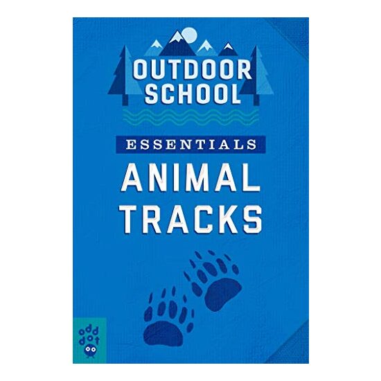 Outdoor School Essentials - Imagine 1