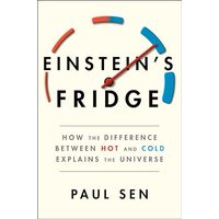 Einstein's Fridge
