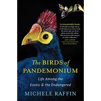 The birds of Pandemonium