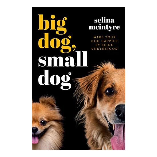 Big Dog Small Dog