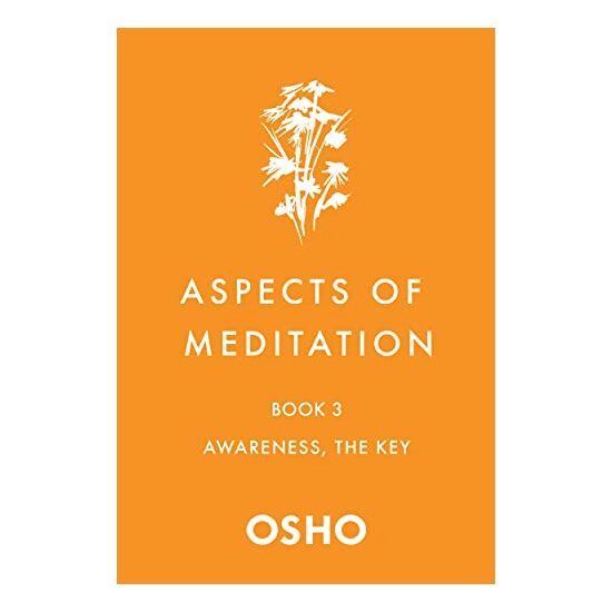 Aspects of Meditation Book 3 - Imagine 1