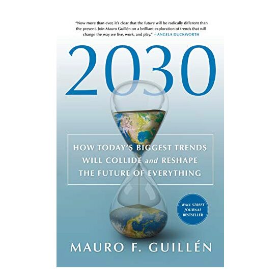 2030, Mauro F. Guillen