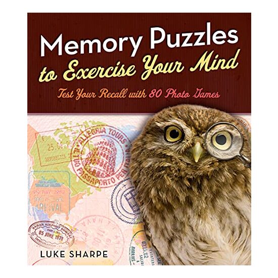 Memory Puzzles to Exercise Your Mind