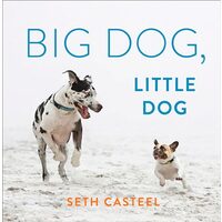 Big Dog, Little Dog