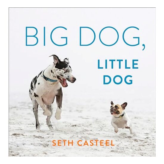 Big Dog, Little Dog - Imagine 1