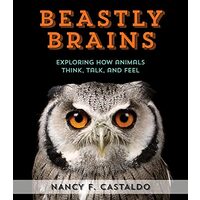 Beastly brains