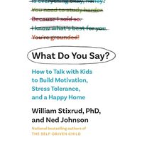 What Do You Say?: How to Talk with Kids to Build Motivation, Stress Tolerance, and a Happy Home