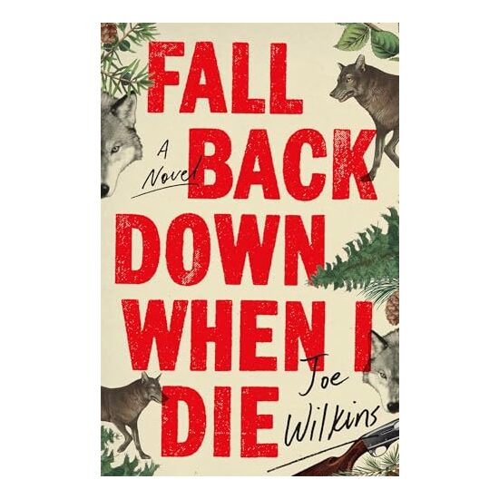 Fall Back Down When I Die - Imagine 1