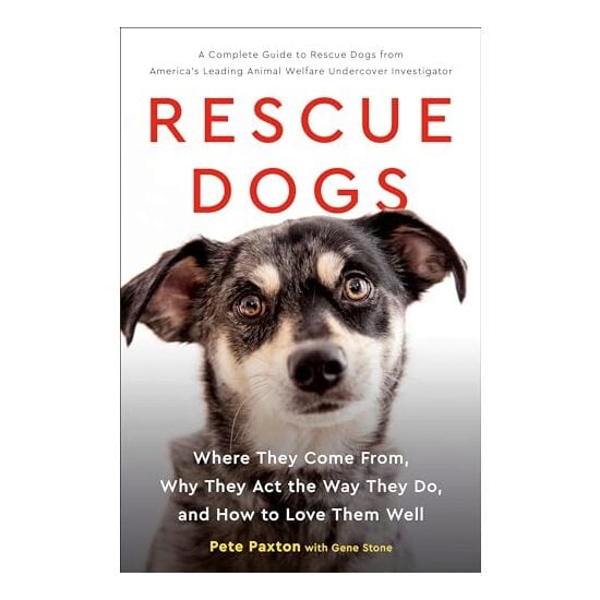 Rescue Dogs: Where They Come From, Why They Act the Way They Do, and How to Love Them Well