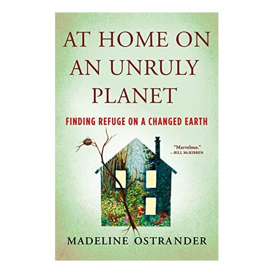 At Home on an Unruly Planet - Imagine 1